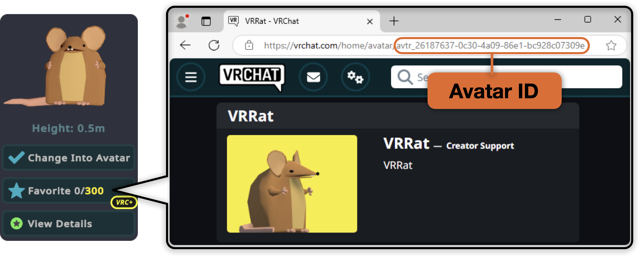 avatar_ID.png